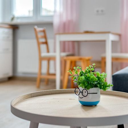 Maly Rynek Studio Opole Dış mekan fotoğraf